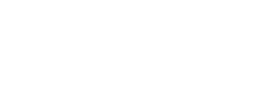 DJ Willie H. Entertainment logo