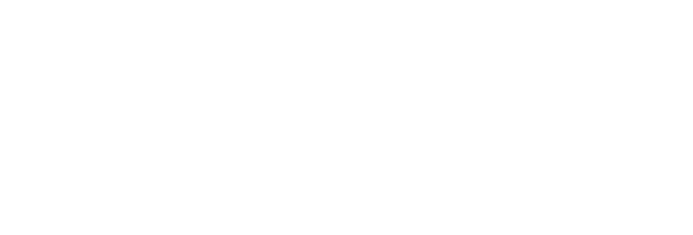 DJ Willie H. Entertainment logo